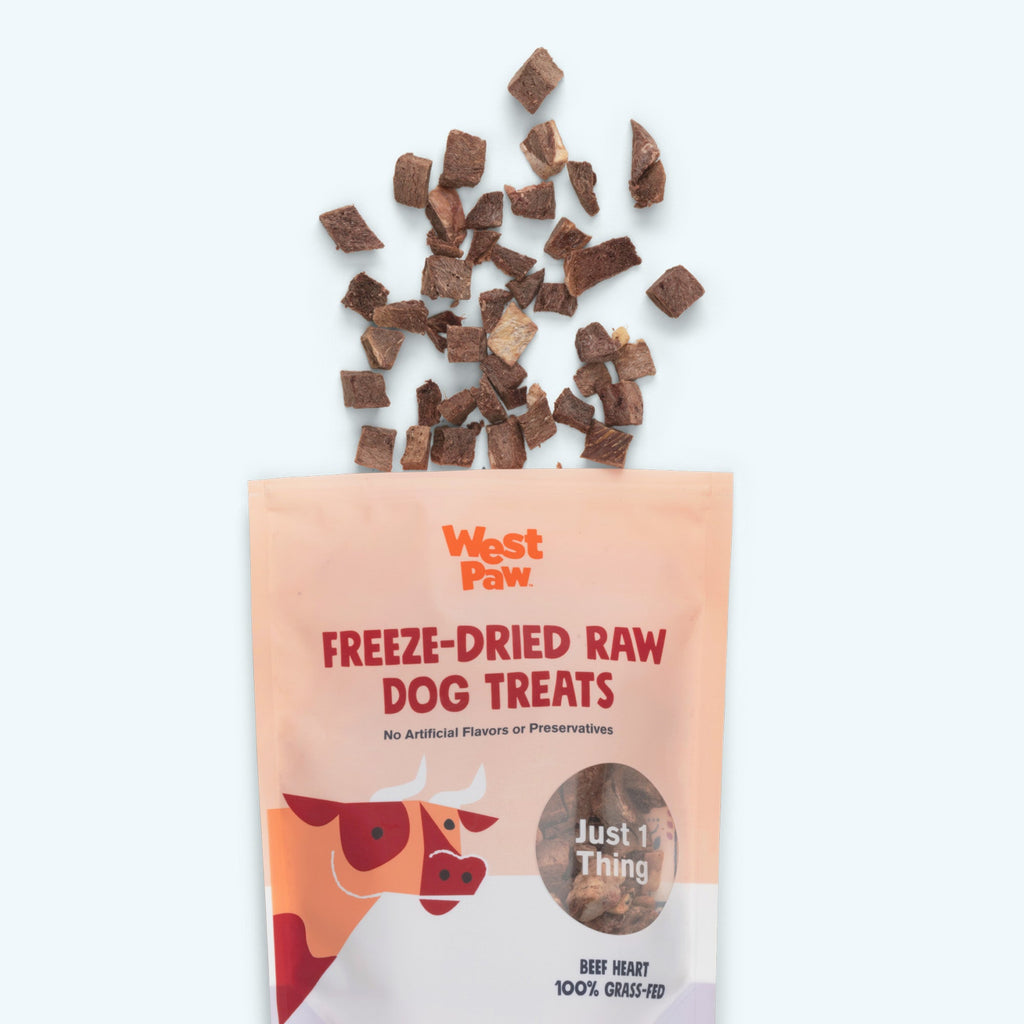 Beef Heart Freeze-Dried Raw Dog Treats
