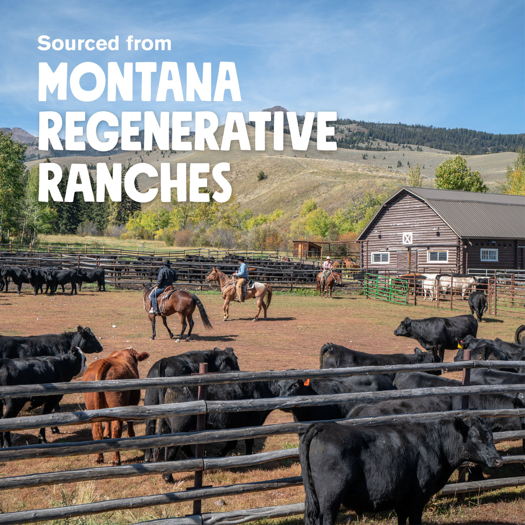 Montana Beef Sticks — Air-Dried Dog Treats
