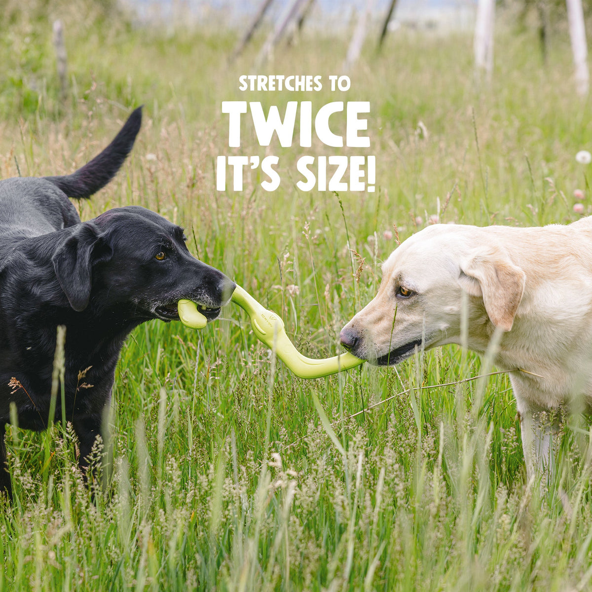 Bumi® — Zogoflex® Stretchy Tug Toy