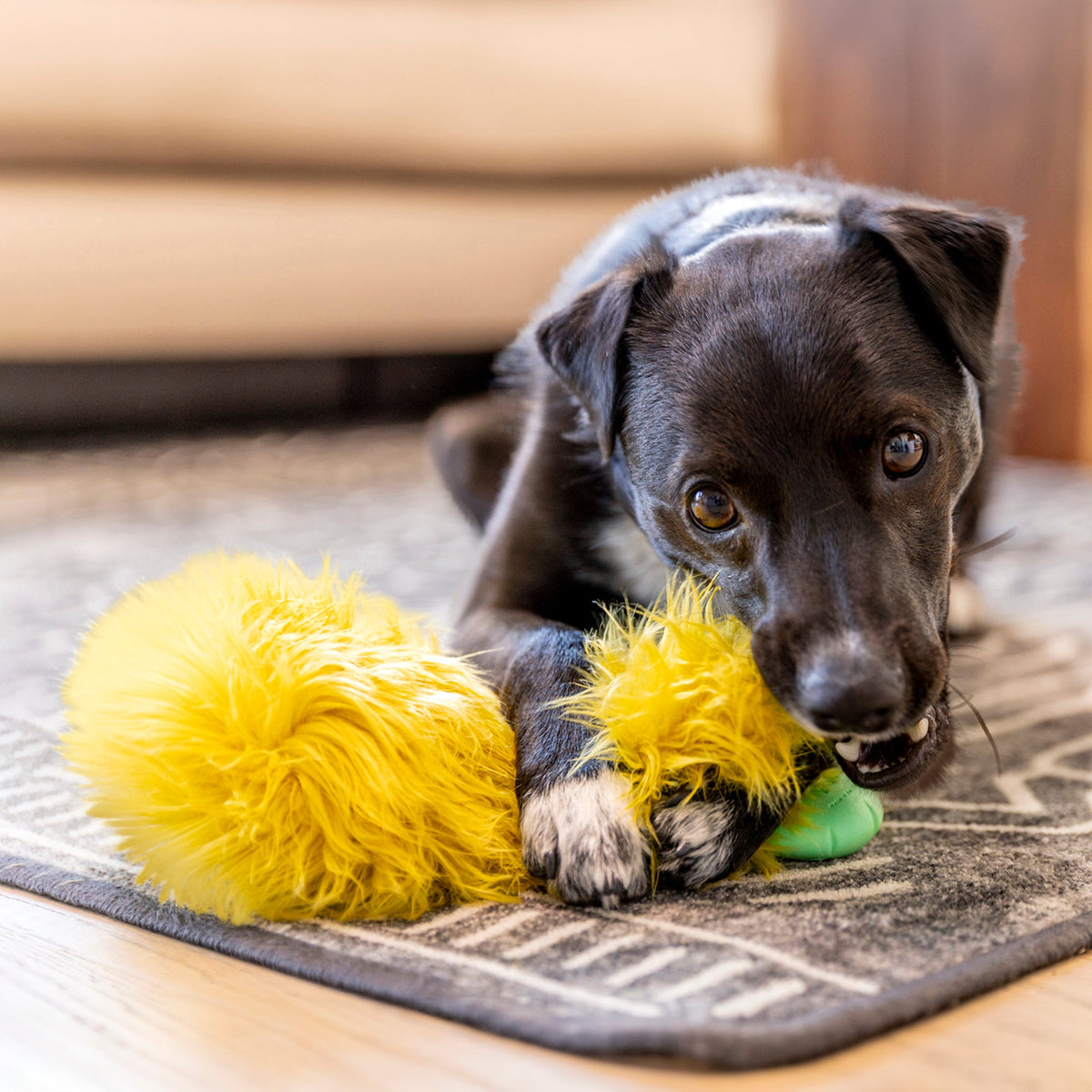 Astrid — Rowdies® Plush Dog Toy