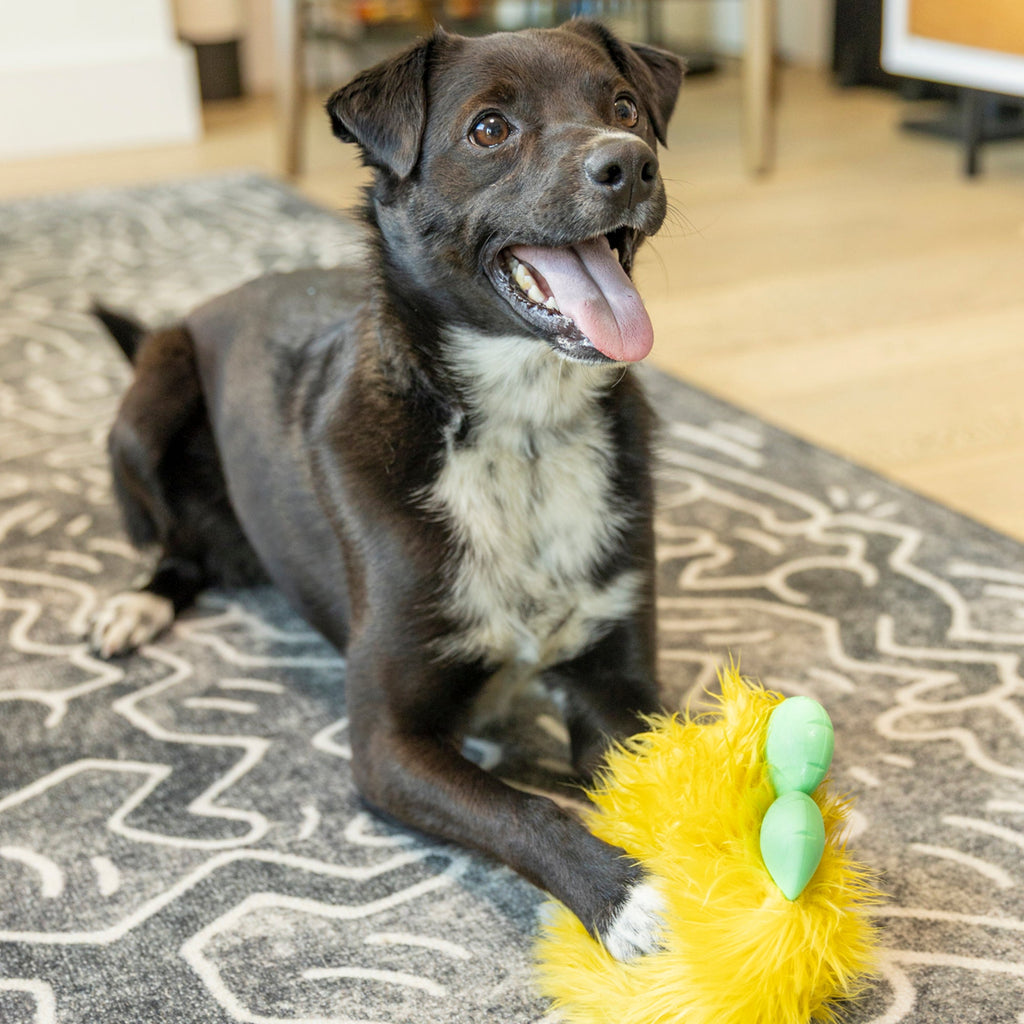 Rolf — Rowdies® Plush Dog Toy