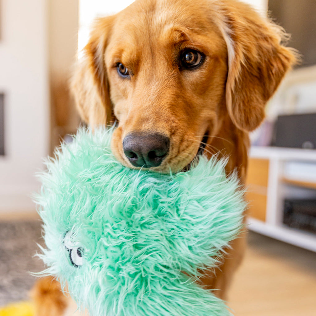 Helga — Rowdies® Plush Dog Toy