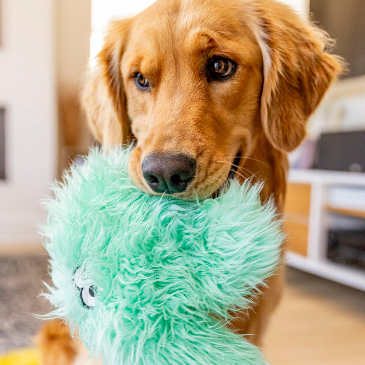 Helga — Rowdies® Plush Dog Toy