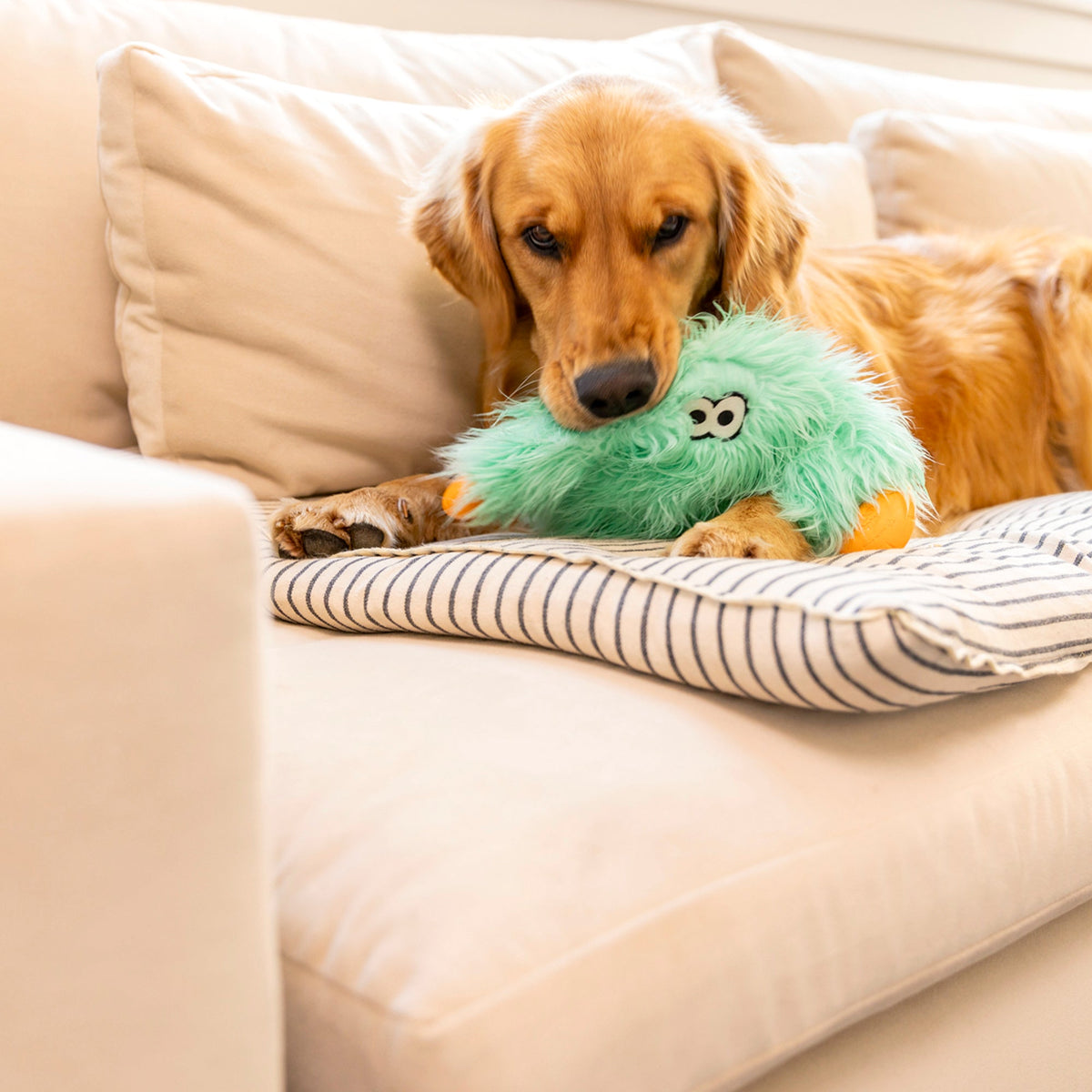 Bjorn — Rowdies® Plush Dog Toy