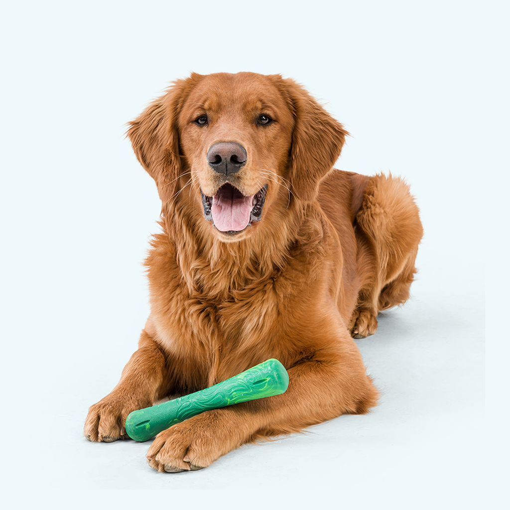 Drifty — Seaflex™ Eco-Friendly Bone Dog Toy