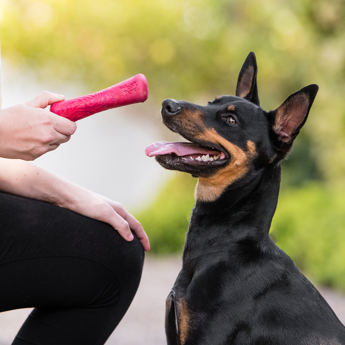 Drifty — Seaflex™ Eco-Friendly Bone Dog Toy