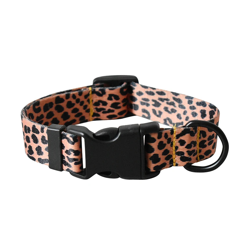 Printed Nylon Dog Collar