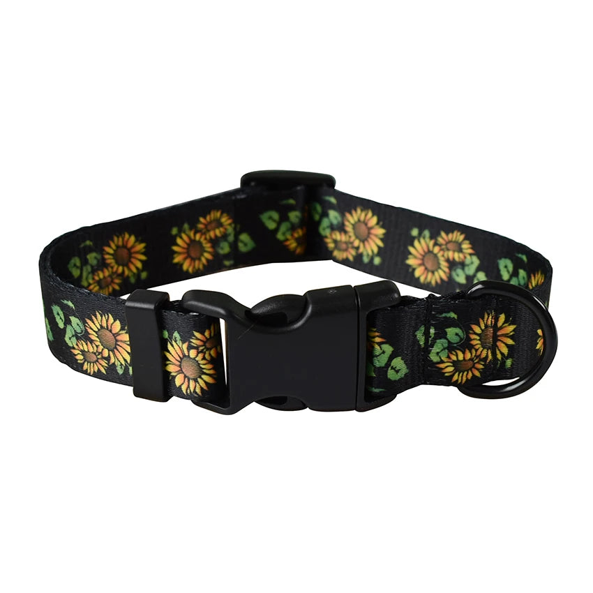 Printed Nylon Dog Collar