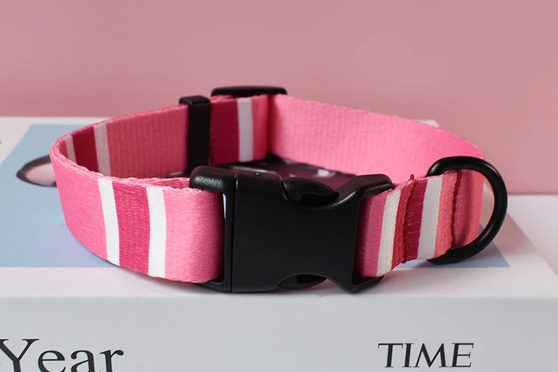 Printed Nylon Dog Collar