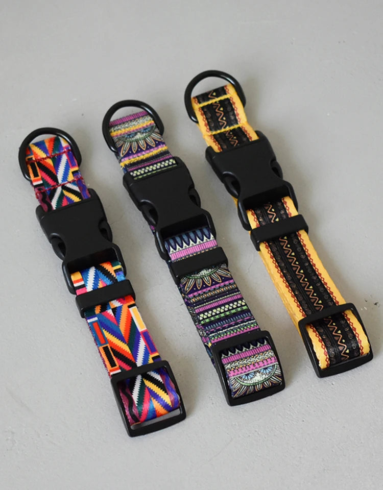 Printed Nylon Dog Collar
