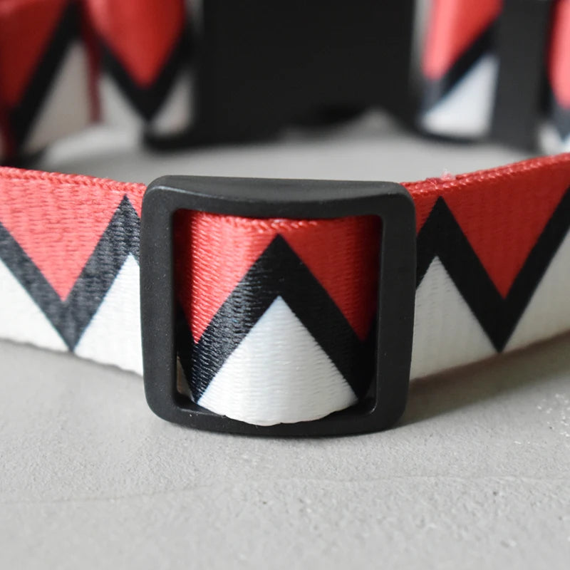 Printed Nylon Dog Collar