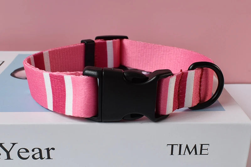 Printed Nylon Dog Collar