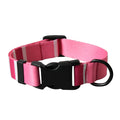 Printed Nylon Dog Collar