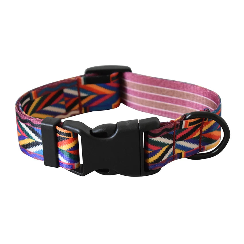 Printed Nylon Dog Collar