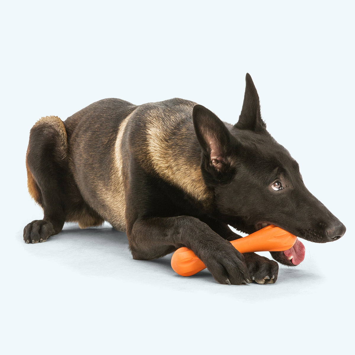 Hurley® — Zogoflex® Bone Dog Toy