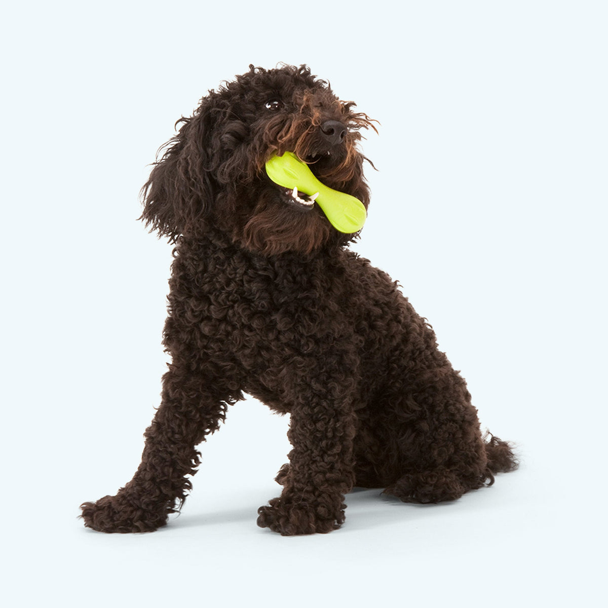 Hurley® — Zogoflex® Bone Dog Toy