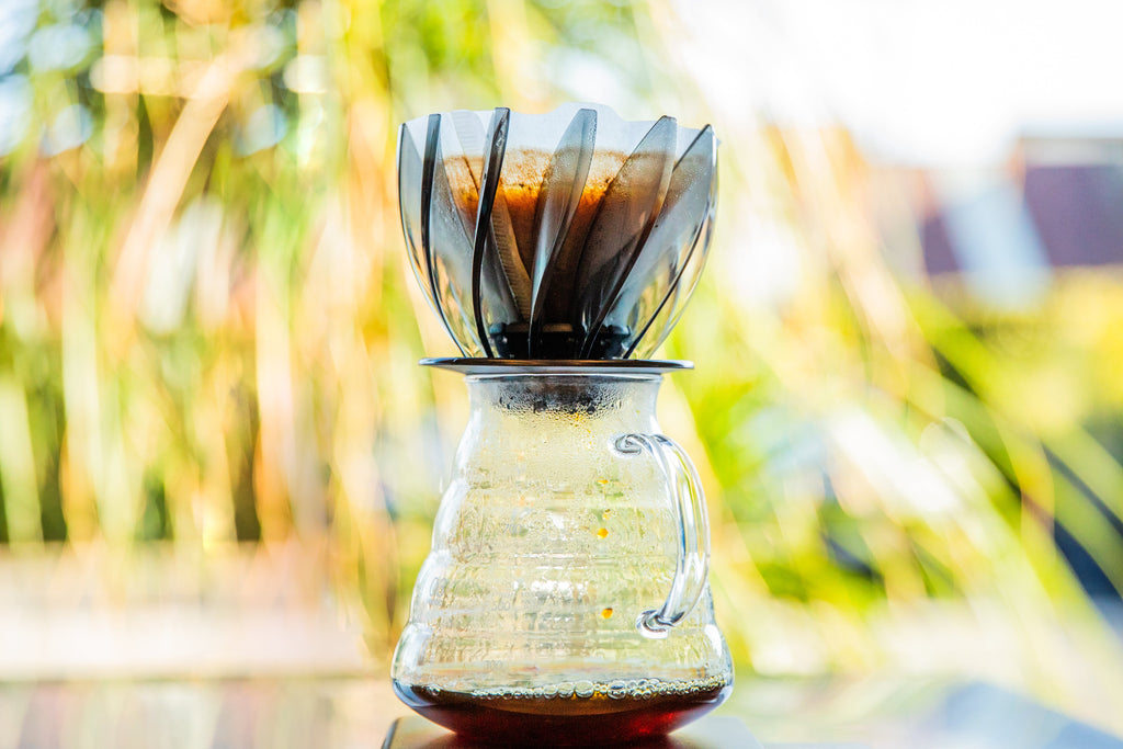 V60 "Suiren" Coffee Dripper 02