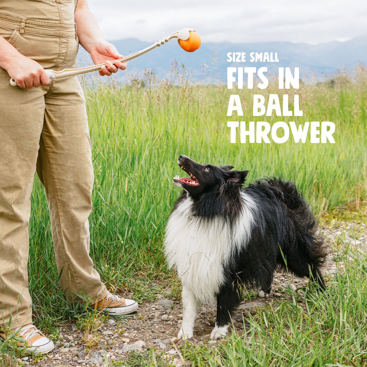Jive® — Zogoflex® Erratic-Bounce Dog Toy