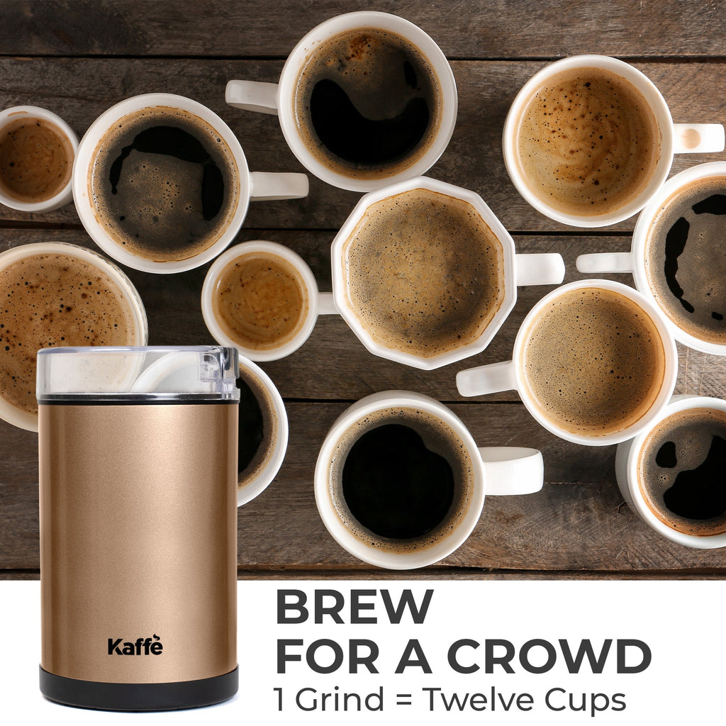 Compact Blade Coffee & Spice Grinder