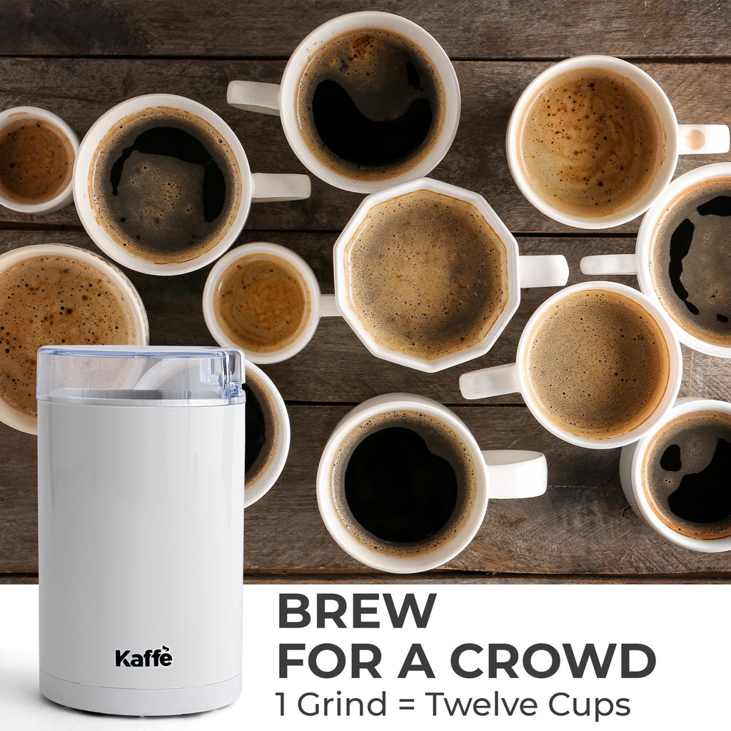 Compact Blade Coffee & Spice Grinder