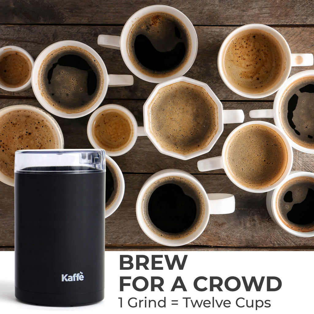 Compact Blade Coffee & Spice Grinder