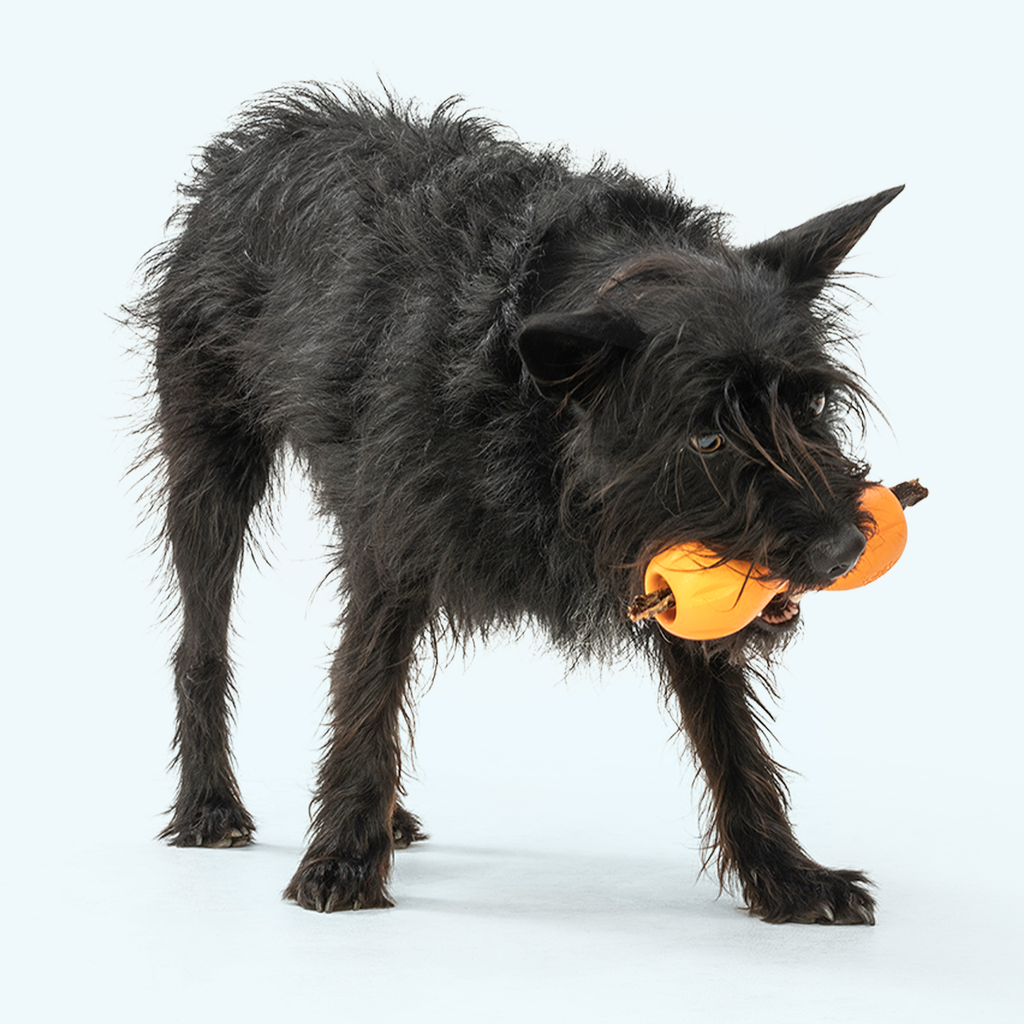 Qwizl® Zogoflex® Treat Toy
