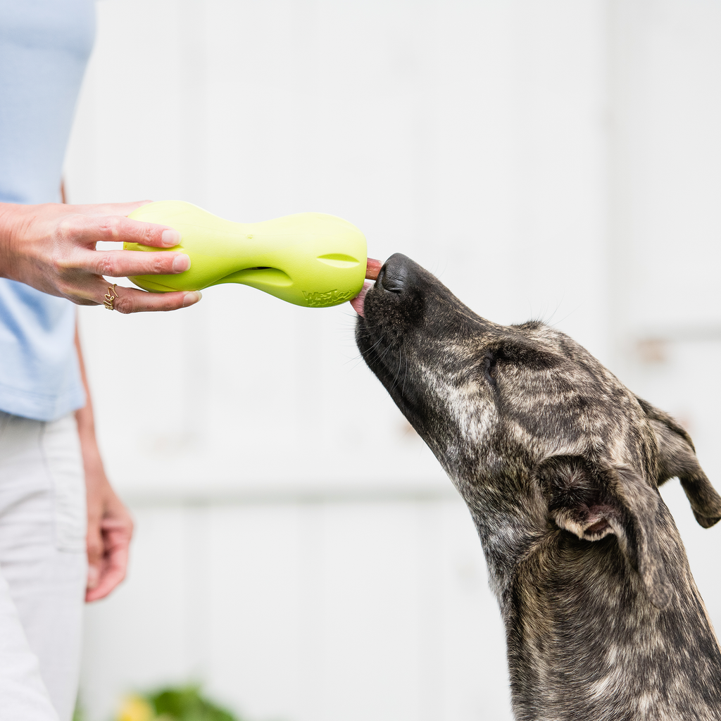 Qwizl® Zogoflex® Treat Toy