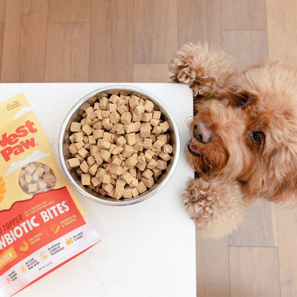 Rawbiotic Bites™ Chicken — Freeze-Dried Raw Dog Food Topper