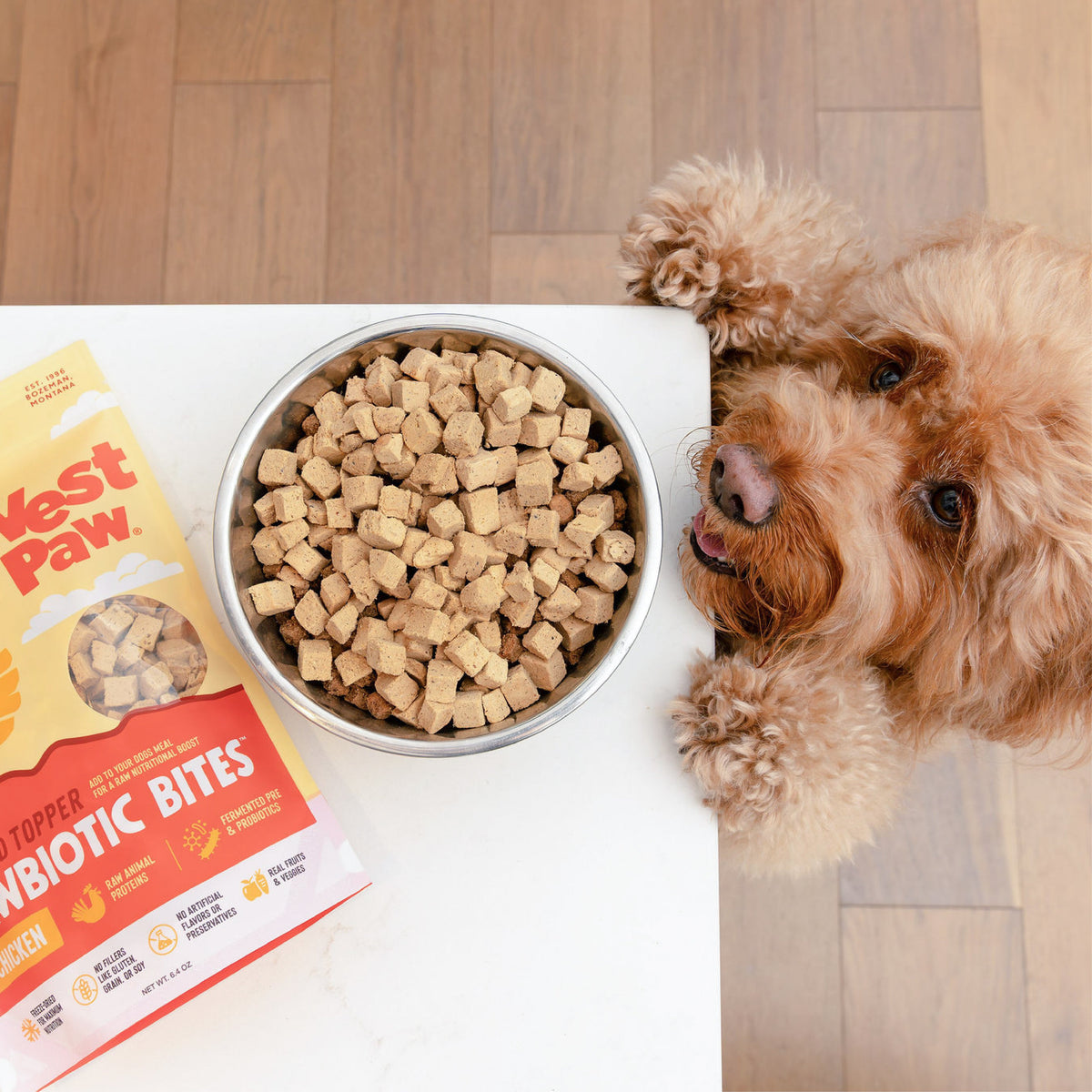 Rawbiotic Bites™ Chicken — Freeze-Dried Raw Dog Food Topper