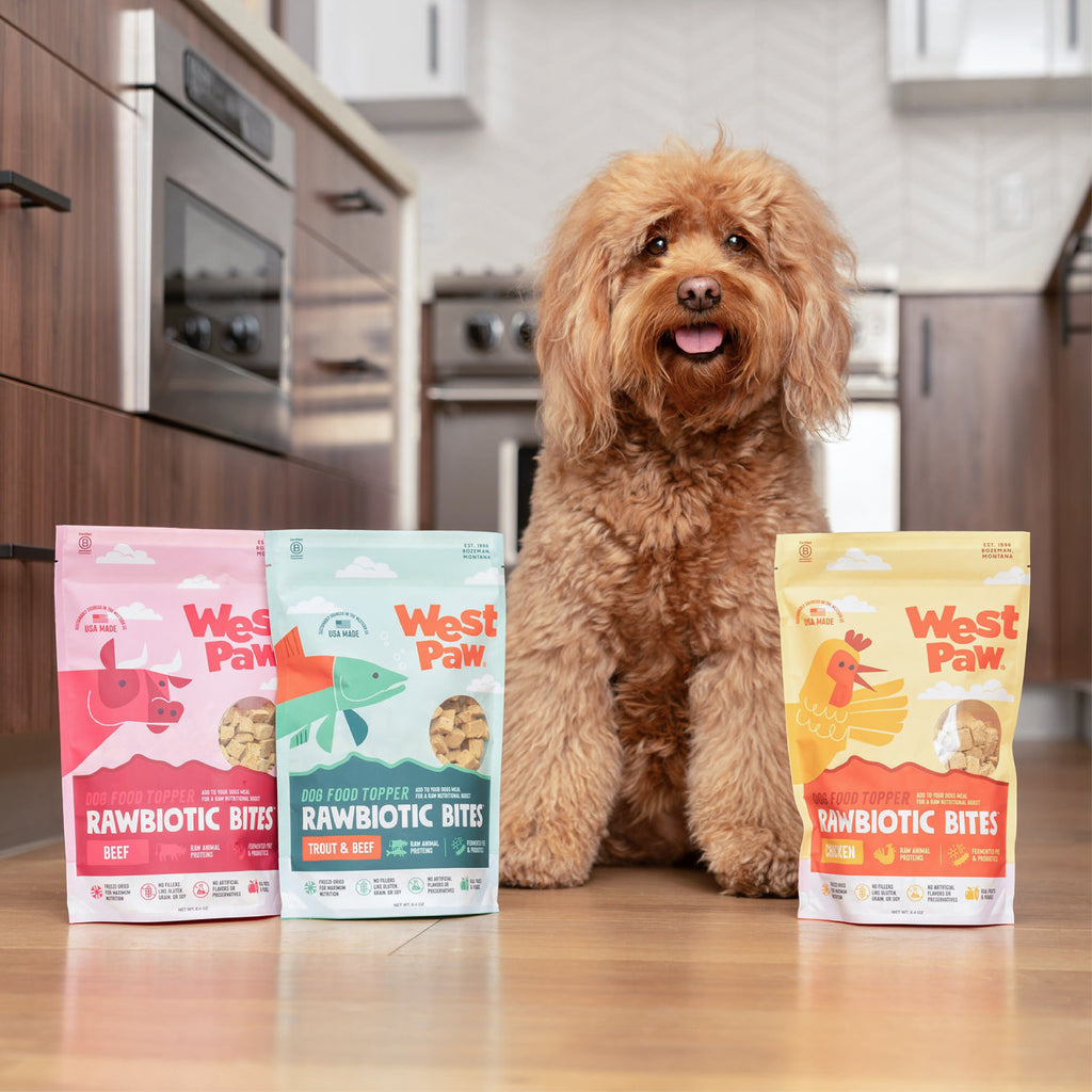 Rawbiotic Bites™ Beef — Freeze-Dried Raw Dog Food Topper