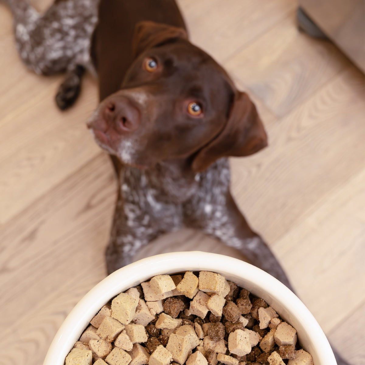 Rawbiotic Bites™ Beef — Freeze-Dried Raw Dog Food Topper
