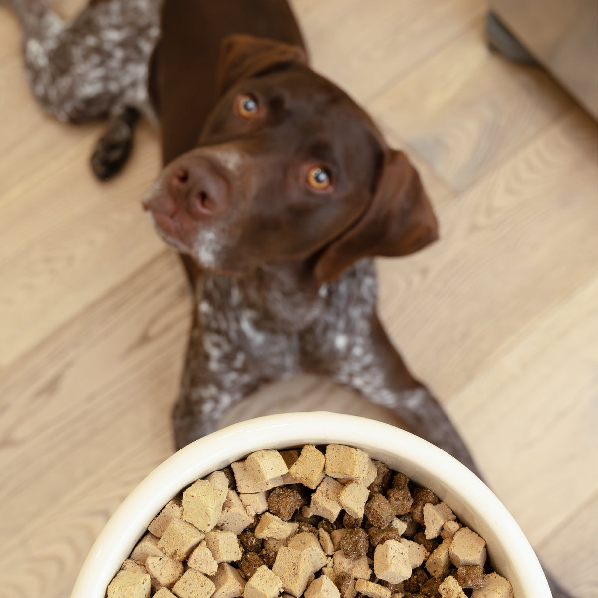 Rawbiotic Bites™ Chicken — Freeze-Dried Raw Dog Food Topper