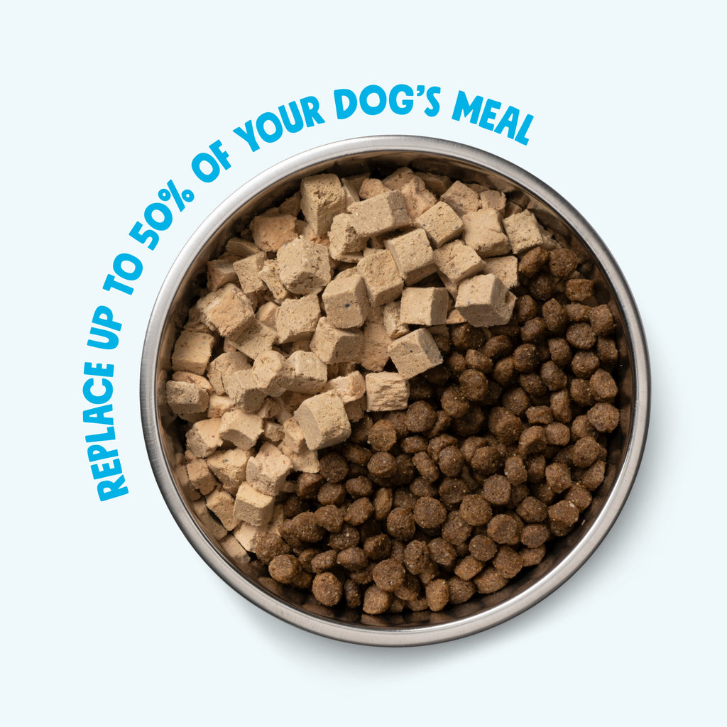 Rawbiotic Bites™ Beef — Freeze-Dried Raw Dog Food Topper