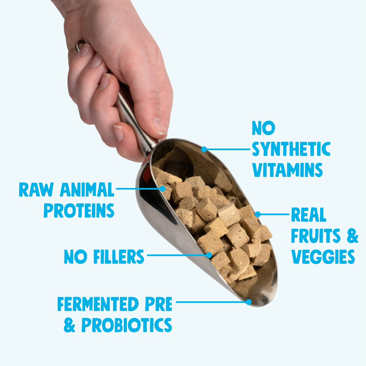 Rawbiotic Bites™ Trout & Beef — Freeze-Dried Raw Dog Food Topper