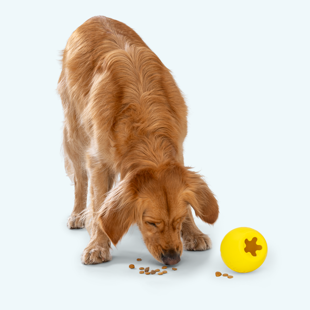 Rumbl® Zogoflex Echo® Treat-Dispensing Puzzle Toy