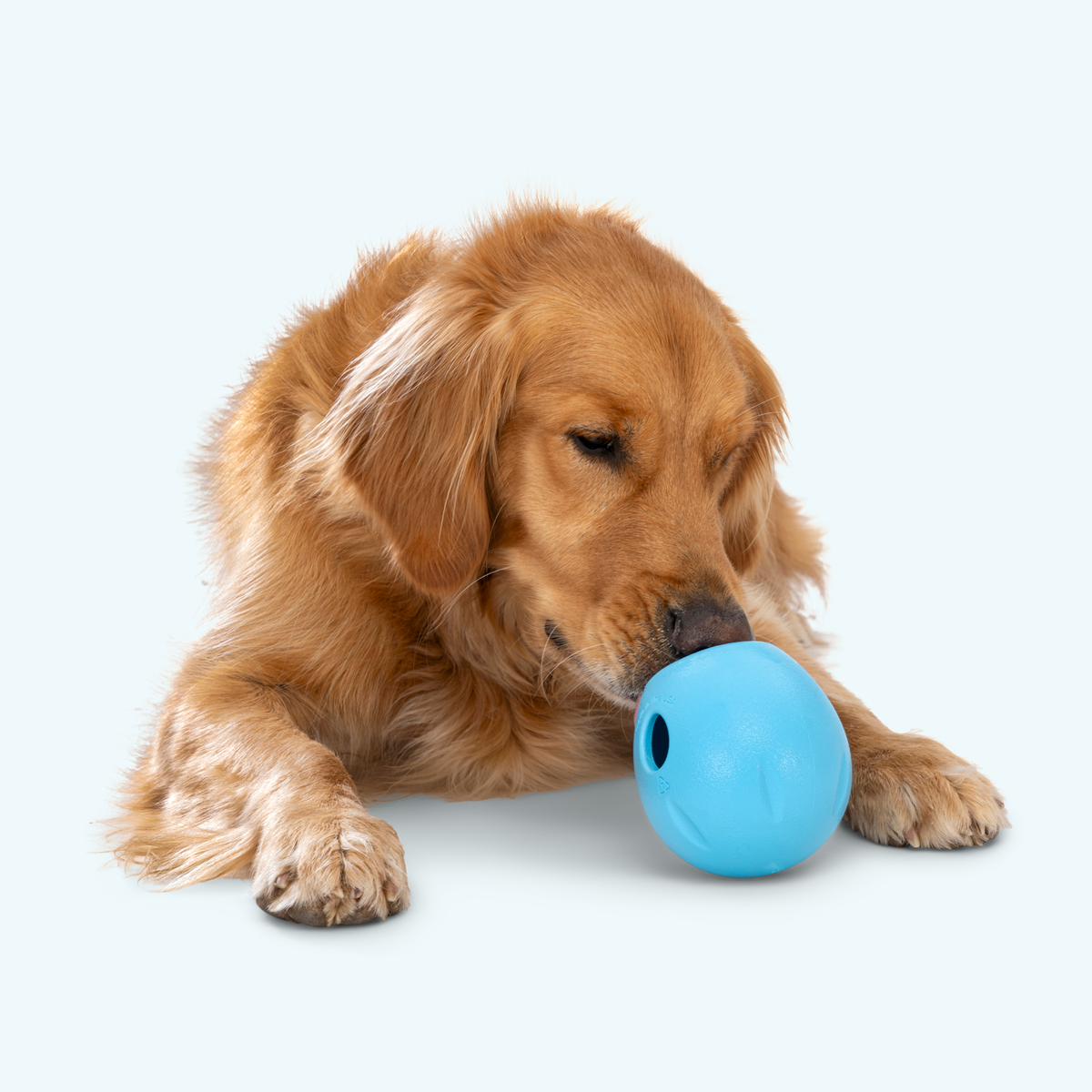 Rumbl® Zogoflex Echo® Treat-Dispensing Puzzle Toy
