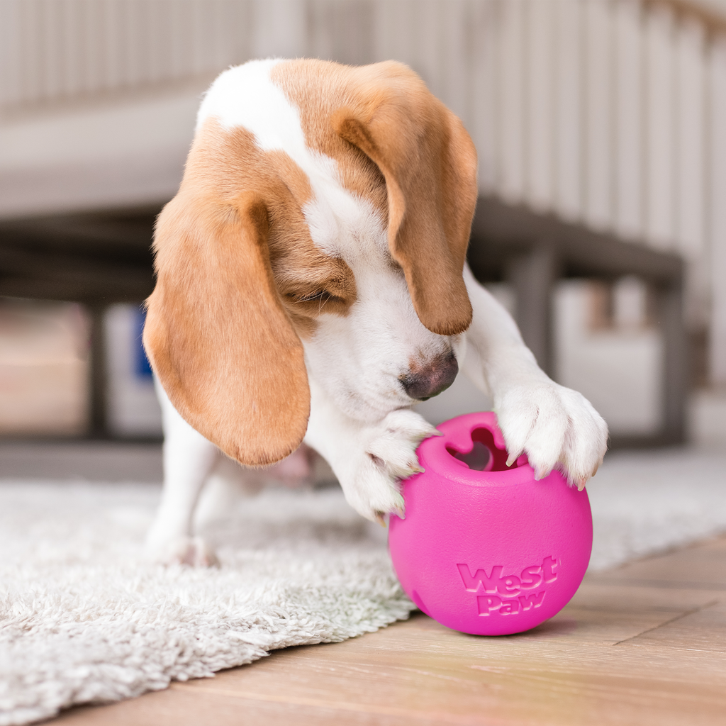 Rumbl® Zogoflex Echo® Treat-Dispensing Puzzle Toy