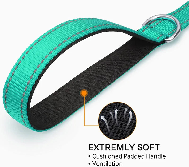 Reflective Dog Leash