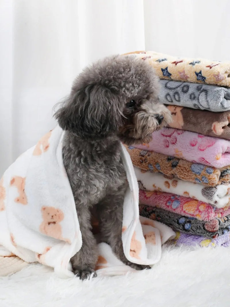 Coral Fleece Pet Blanket