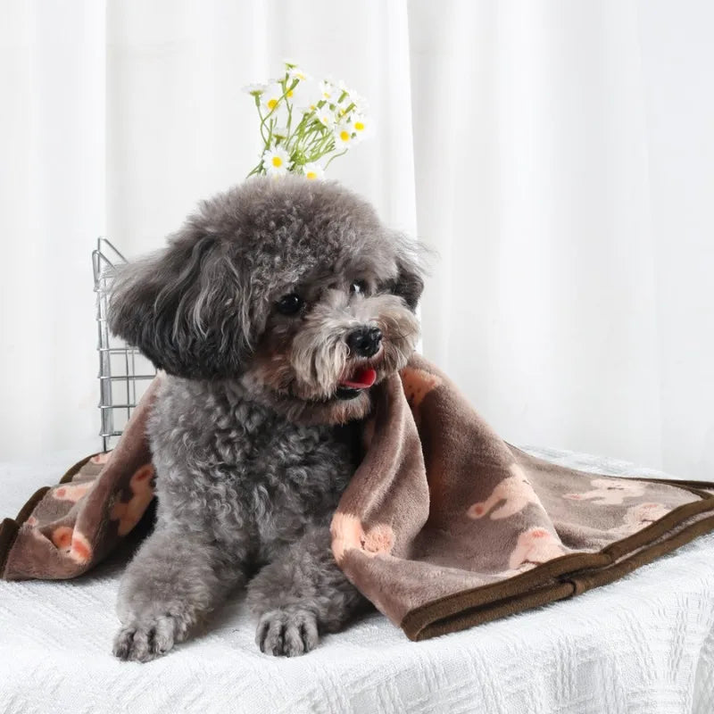 Coral Fleece Pet Blanket