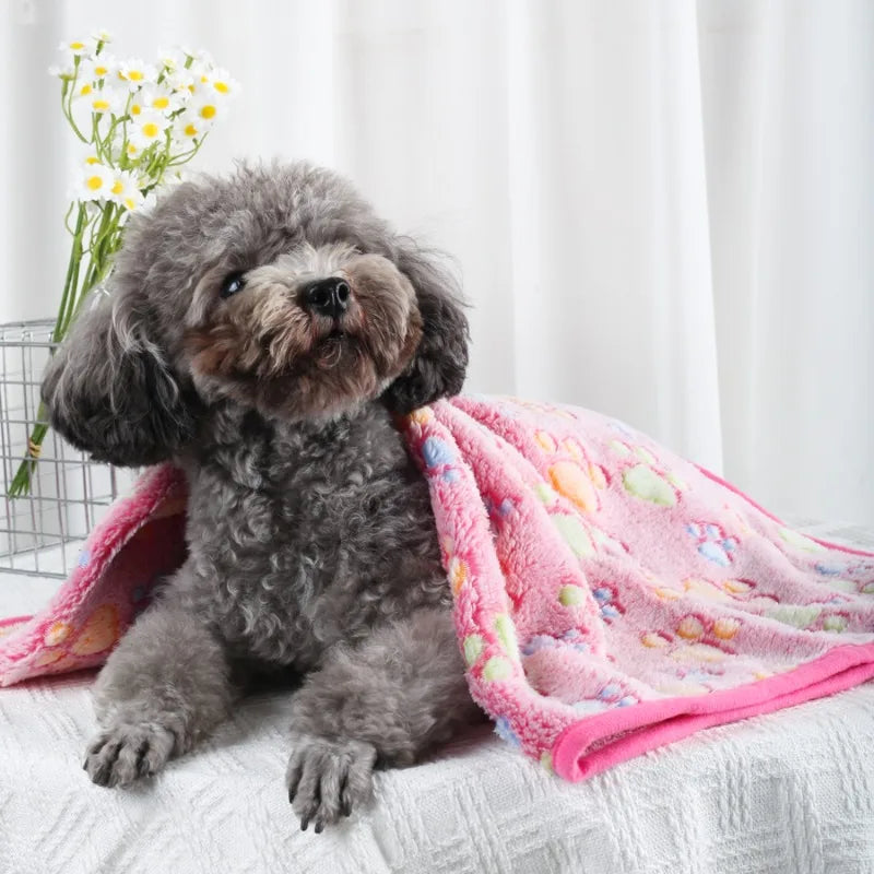 Coral Fleece Pet Blanket