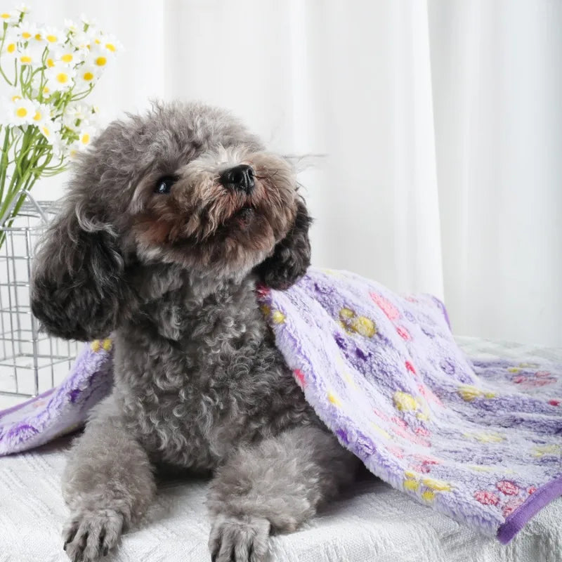 Coral Fleece Pet Blanket