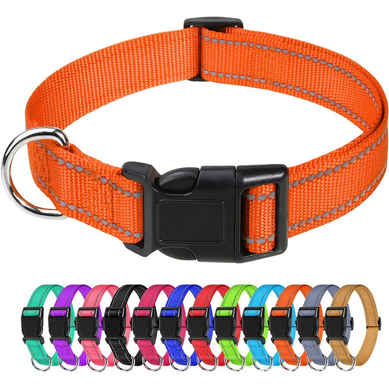 Nylon Dog Collar with Reflective Stitching — 11 Colors, XS–XL