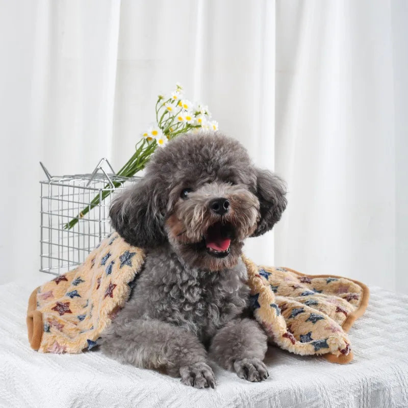 Coral Fleece Pet Blanket
