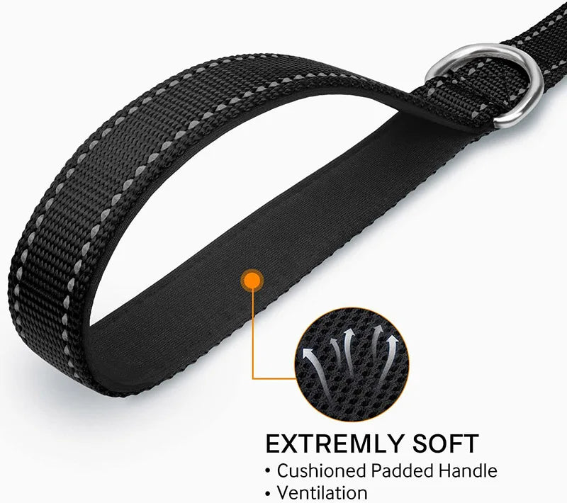 Reflective Dog Leash