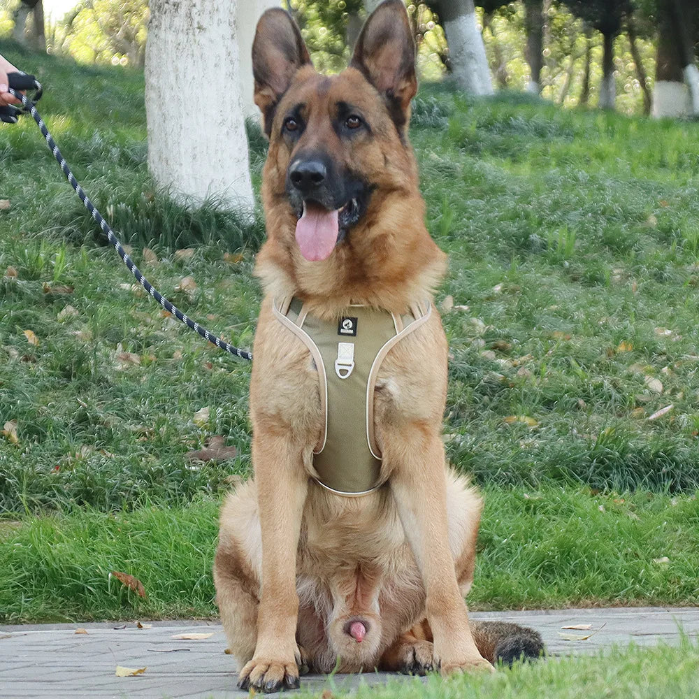 Heavy-Duty Adjustable Dog Harness with Reflective Trim & Front Handle — S to XL