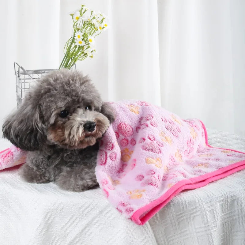Coral Fleece Pet Blanket
