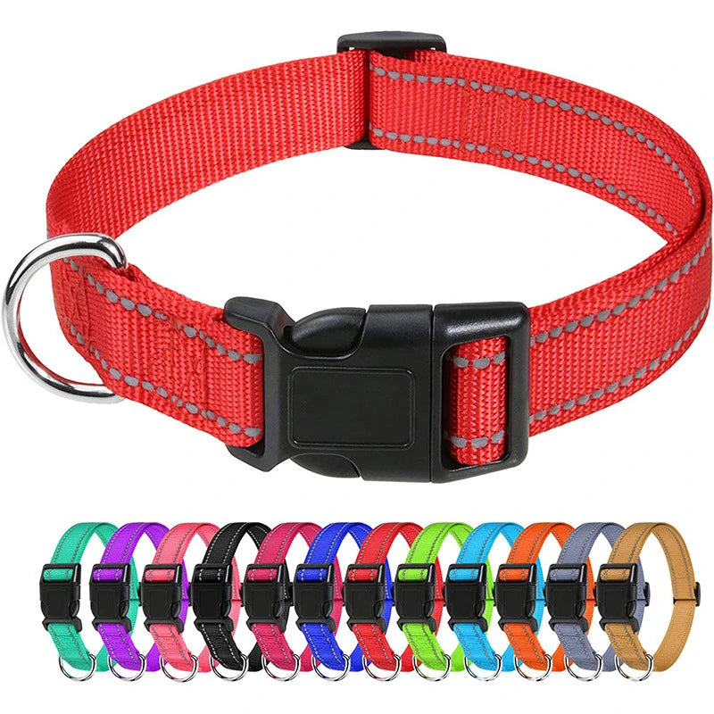 Nylon Dog Collar with Reflective Stitching — 11 Colors, XS–XL