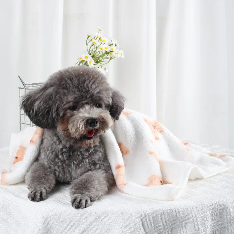 Coral Fleece Pet Blanket