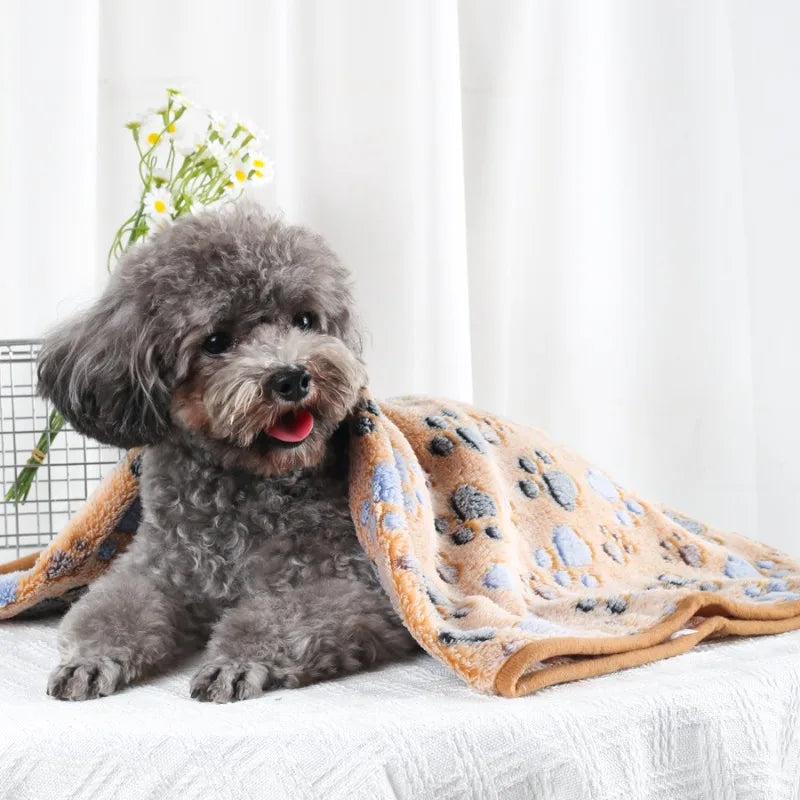 Coral Fleece Pet Blanket